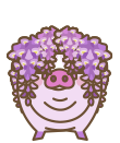紫藤豬